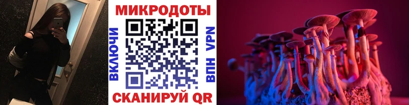 Купить где  Костомукша  Псилоцибиновые грибы мицелий 